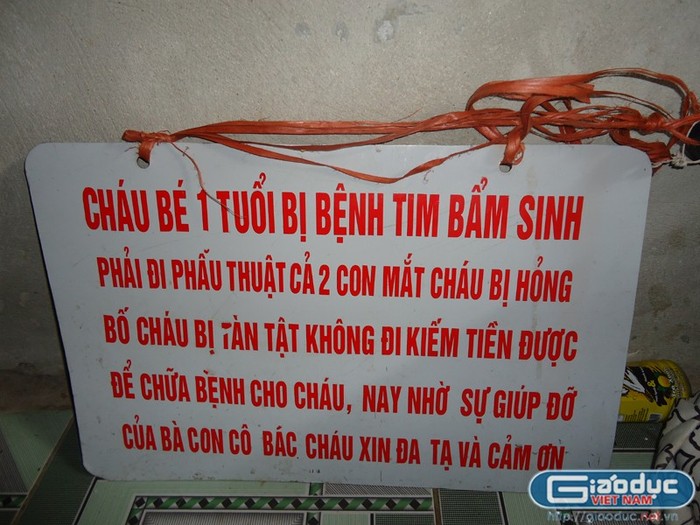 Năm 2010, chị Phạm Thị Hoài (SN 1984) kết hôn với anh Tạ Văn Duy (SN 1971) trú tại Tri Thủy, Phú Xuyên, Hà Nội. Cuối năm 2011, con gái đầu lòng của anh chị là cháu Phạm Thị Đào (mang họ mẹ) ra đời. Niềm vui chưa kịp trọn vẹn thì gia đình như bị sét đánh ngang tai khi nghe tin cháu Đào đã mắc phải căn bệnh tim và đục thủy tinh thể bẩm sinh.